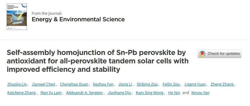华南理工大学严克友最新EES：抗氧化剂自组装锡铅混合钙钛矿同质结，提高全钙钛矿串联叠层太阳能电池的效率和稳定性
